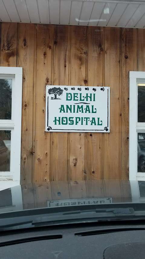Jobs in Delhi Animal Hospital - reviews